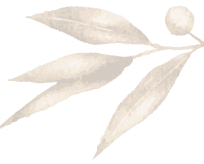 Jeanine van Seenus, Decorative Leaf Image