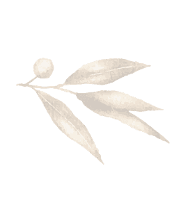 Jeanine van Seenus, Decorative Leaf Image