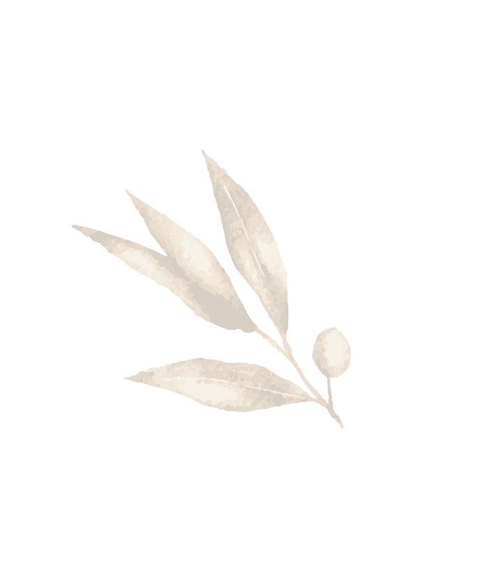 Jeanine van Seenus, Decorative Leaf Image